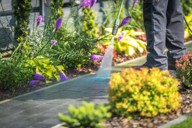Best Dumpster Area Cleaning  in Placitas, NM