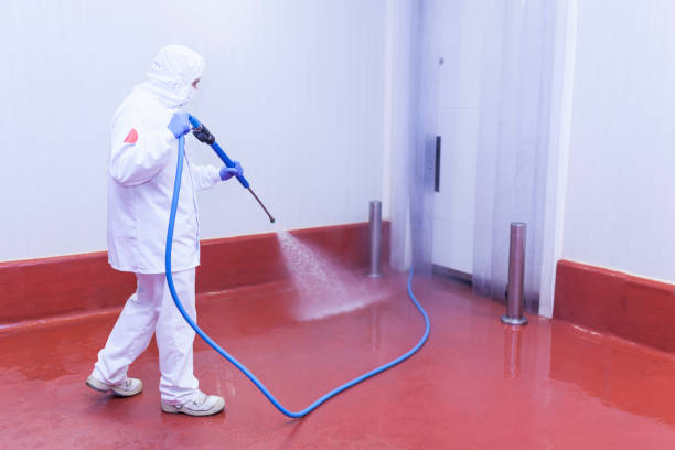Best Building Exterior Washing  in Placitas, NM